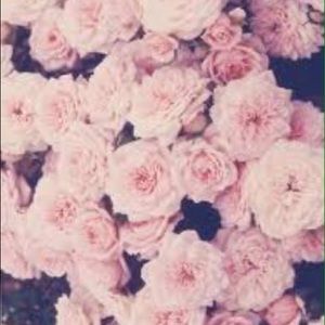 Meet your Posher, Destiny