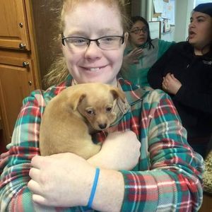 Meet your Posher, Markie