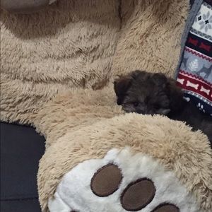 Meet your Posher, Carla