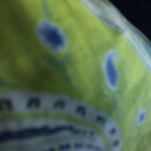 Meet your Posher, Savannah