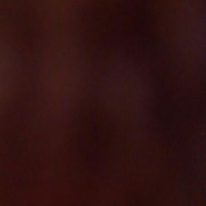 Meet your Posher, Ty