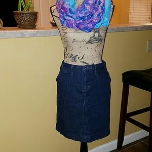Banana Republic denim skirt