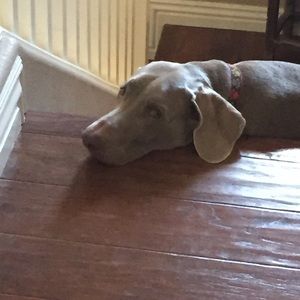 Meet your Posher, Kim