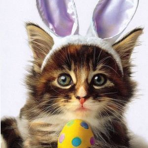 Meet your Posher, Catherine