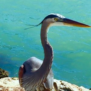 Meet your Posher, Melanie