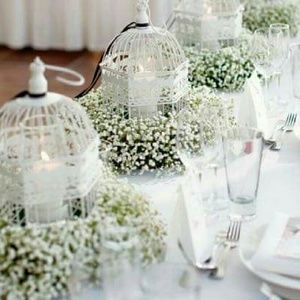 Meet your Posher, Shanta