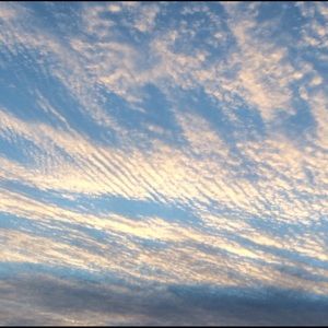 Meet your Posher, Deidre