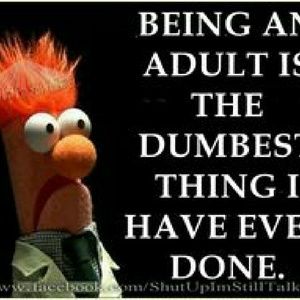 Meet your Posher, Jonah