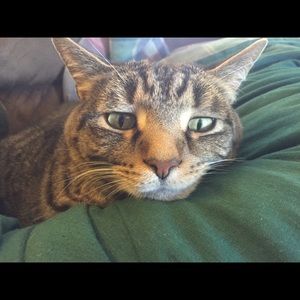 Meet your Posher, Jane