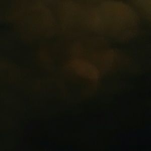 Meet your Posher, Rachael