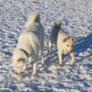 Meet your Posher, Nikki