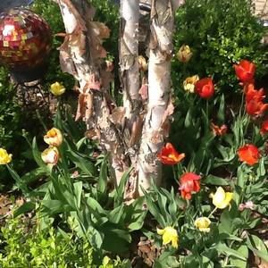 Meet your Posher, Grace boggs