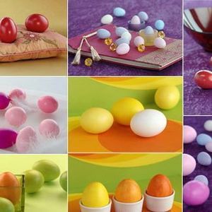 Meet your Posher, Caryn