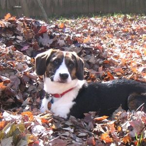 Meet your Posher, Eliz