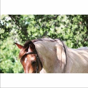 Meet your Posher, Sam