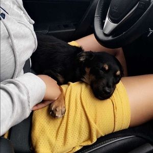 Meet your Posher, Bethany