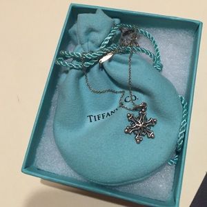 Tiffany and Co. Snowflake Pendant/Necklace