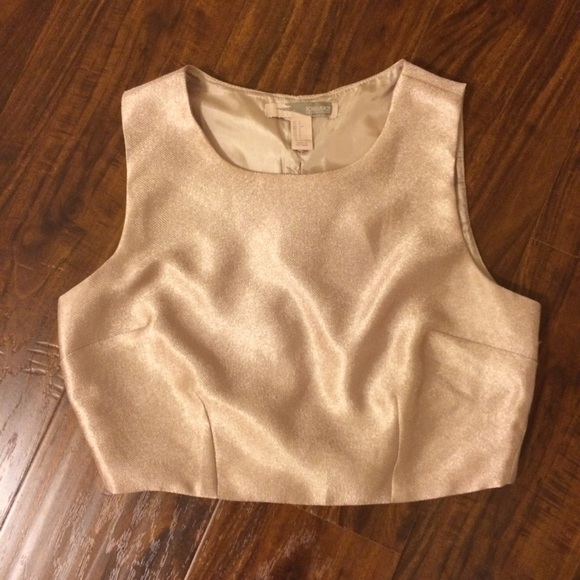 Champagne Pink Crop Top