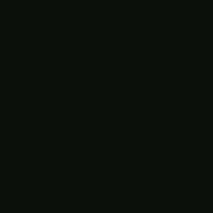 Meet your Posher, Patty