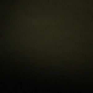 Meet your Posher, Monique