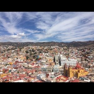 Meet your Posher, Alexia