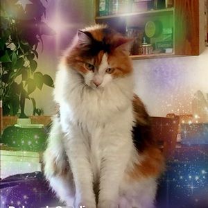 Meet your Posher, Deborah