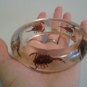 Scorpion Bracelet, REAL Scorpions, Rare, Unique