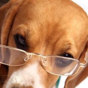 Meet your Posher, Sandi