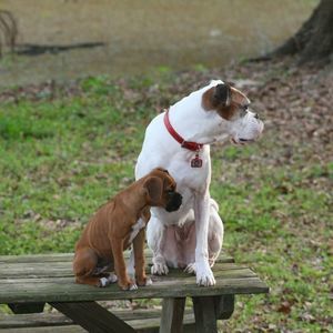 Meet your Posher, Concepcion