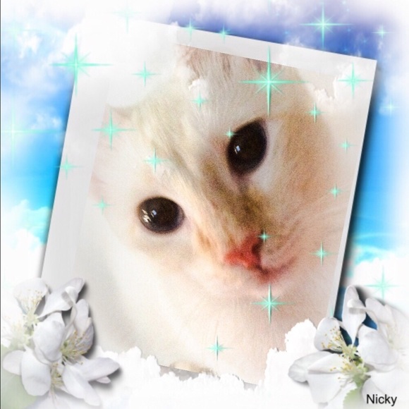 Meet your Posher, Mayra