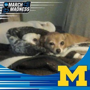 Meet your Posher, Tina