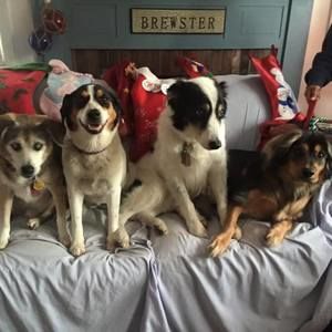 Meet your Posher, Sam