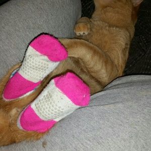 Meet your Posher, Jess