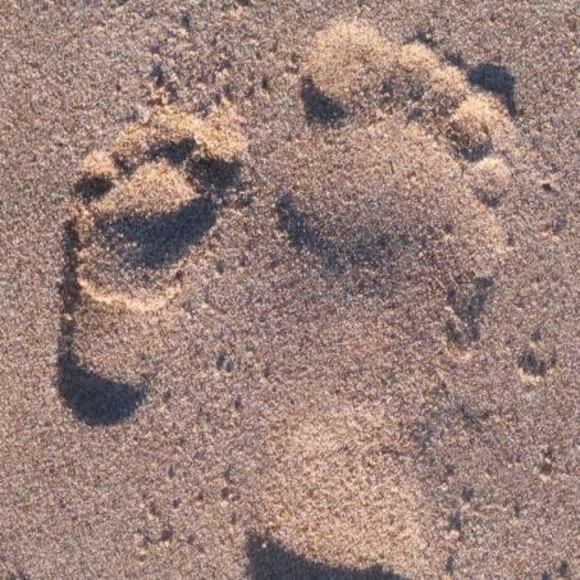 Meet your Posher, Jamie - Picture 1 of 1