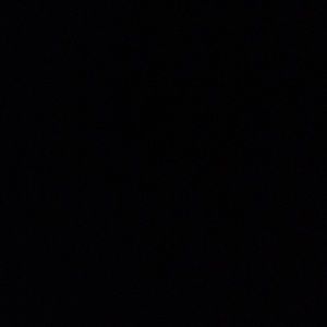 Meet your Posher, Lydia