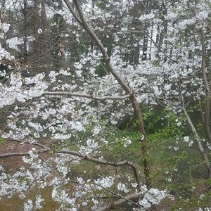 Meet your Posher, Lenora