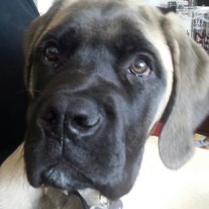 Meet your Posher, Beth