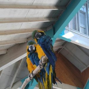 Meet your Posher, Christine