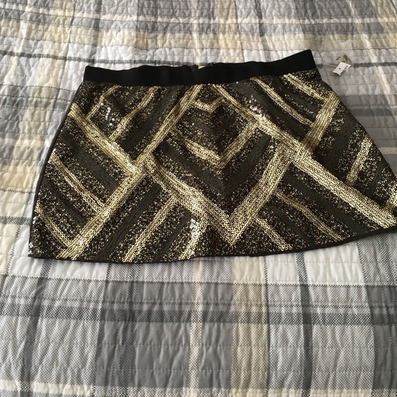 Mini skirt.  Sequins