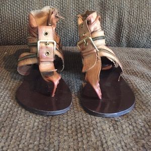 Bucco capensis gladiator sandals