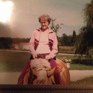 Meet your Posher, Donna