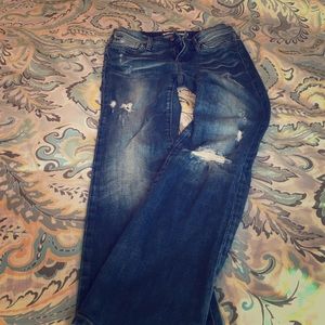 Joes Provacateur Petite Bootcut Jeans