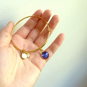 Alex and Ani charm bracelet