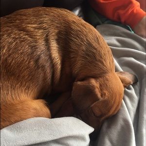 Meet your Posher, Madeline