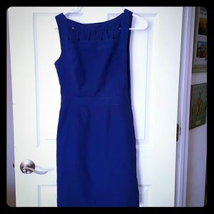 Blue Egg Dress for Spring!