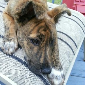 Meet your Posher, Peggy