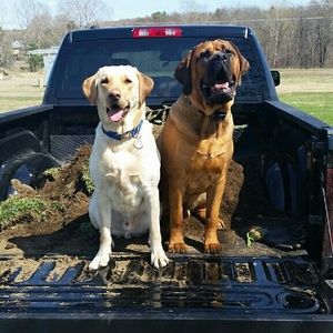 Meet your Posher, John