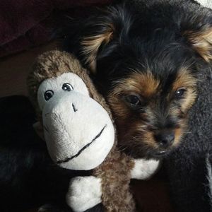 Meet your Posher, Donna ponsaa