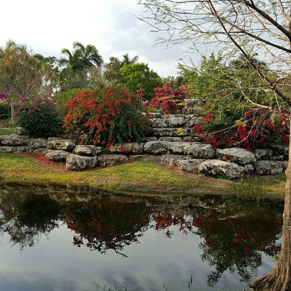 Meet your Posher, Carol - Picture 1 of 1