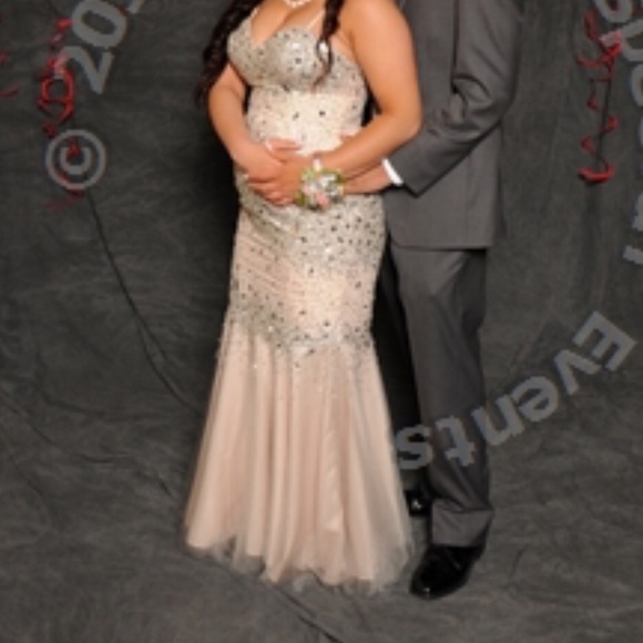 Glamour by terani couture prom dress - Picture 1 of 4